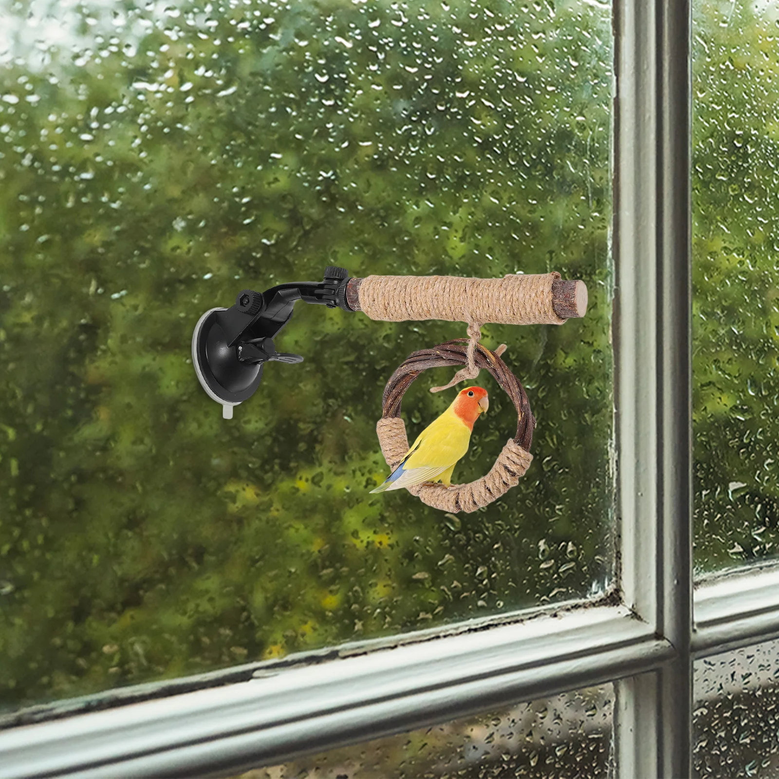 

Bird Stand Perch for Parakeets Accessories Cage Stick Suction Cup Playstand
