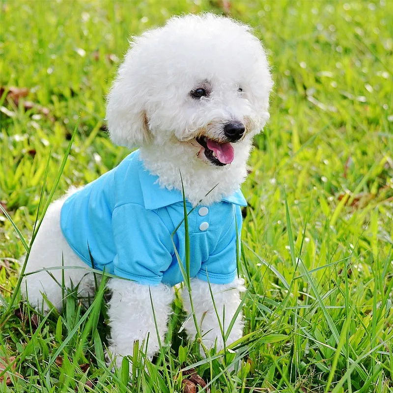 Luxury Dog Shirt for Small Dogs Summer Dog Polo Shirt Cute Soft Puppy Clothing Solid Cat Shirt Chihuahua Dog Clothes Pet Costume