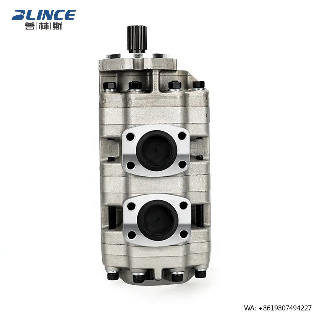 Blince GPC4-20 Gear Pump Hydraulic Double High Pressure Mini Excavator Piston  Pump Repair Kit for Komatsu Parker Bulldozer