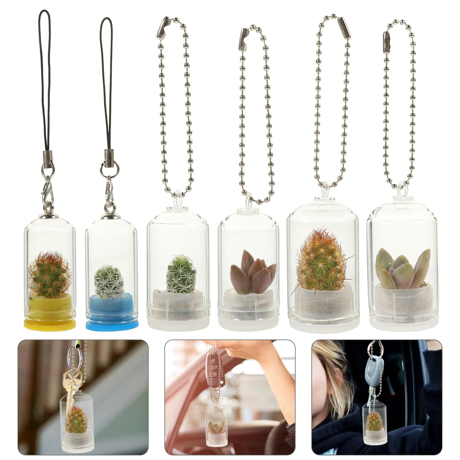 

6Pcs Miniature Glass Vase Keychain Propagation Holder Clear Hanging Terrarium for Air Plants Decorative Plant Starter Vase