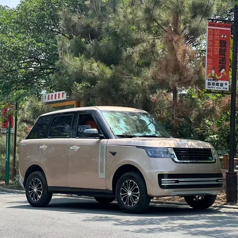 Hot Selling Direct Factory Sale New Design EV Car Adults  Vehicle