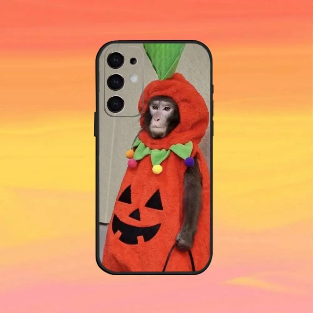 Funda de teléfono con mono divertido y bonito para Samsung S25,S24,S21,S22,S23,S30,Ultra,S20,Plus,Fe,Note,10,9,5G, funda negra