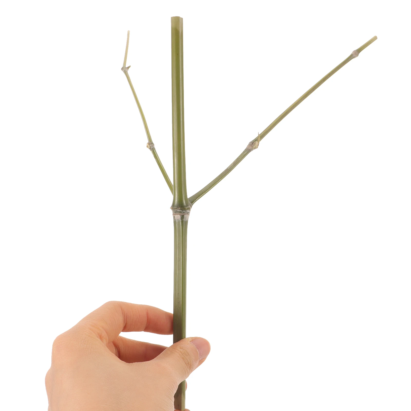

4 Pcs Flower Arrangement Holder Bamboo Branch Tool Crafting Material Floral Fixing Frog Vase Supplies DIY Decor