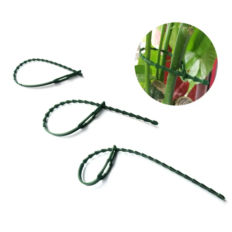 30/ Pcs Reusable Multipurpose Green Tie Tree Rattan Plastic Fastening Garden Tie Plant Support Shrub Fastener Adjustable