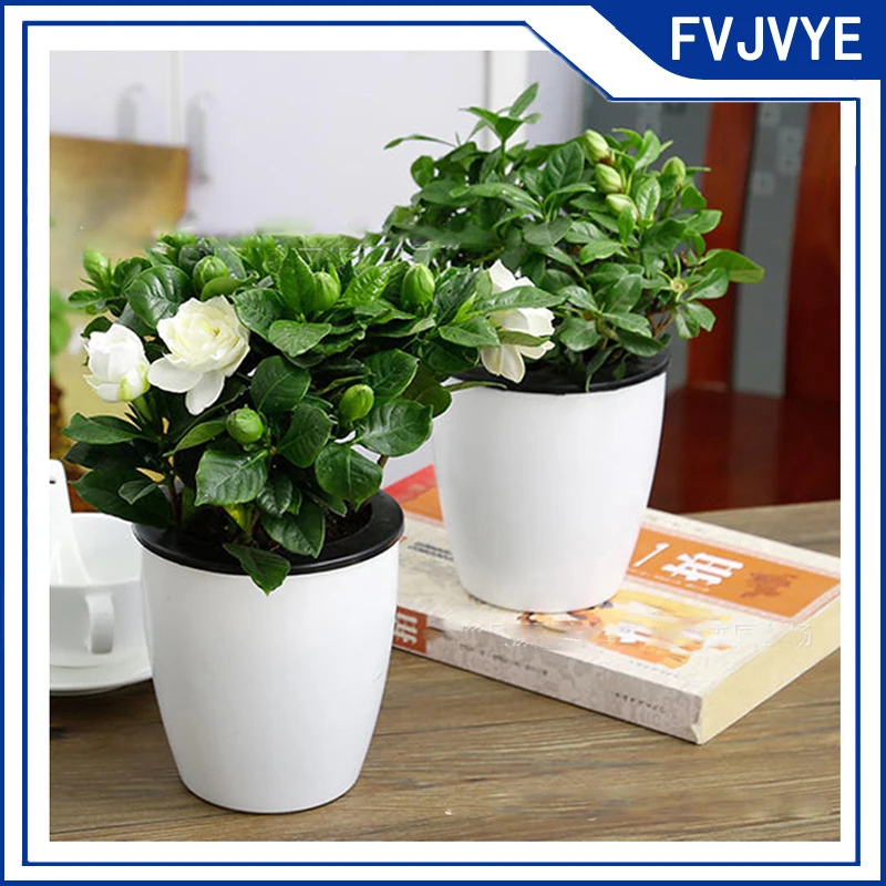 Lazy Flower Automatic Pot Flowerpot Imitation Porcelain Series Plastic Self Watering Pot Desk Home Office Garden Decor A5