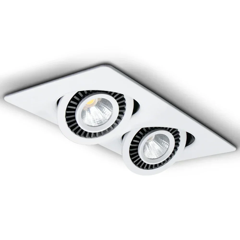 Dimmable Led Downlight Single/Double Head Spot lights COB Downlight led Angle Adjustable Living Room Bedroom Ceiling Lamps