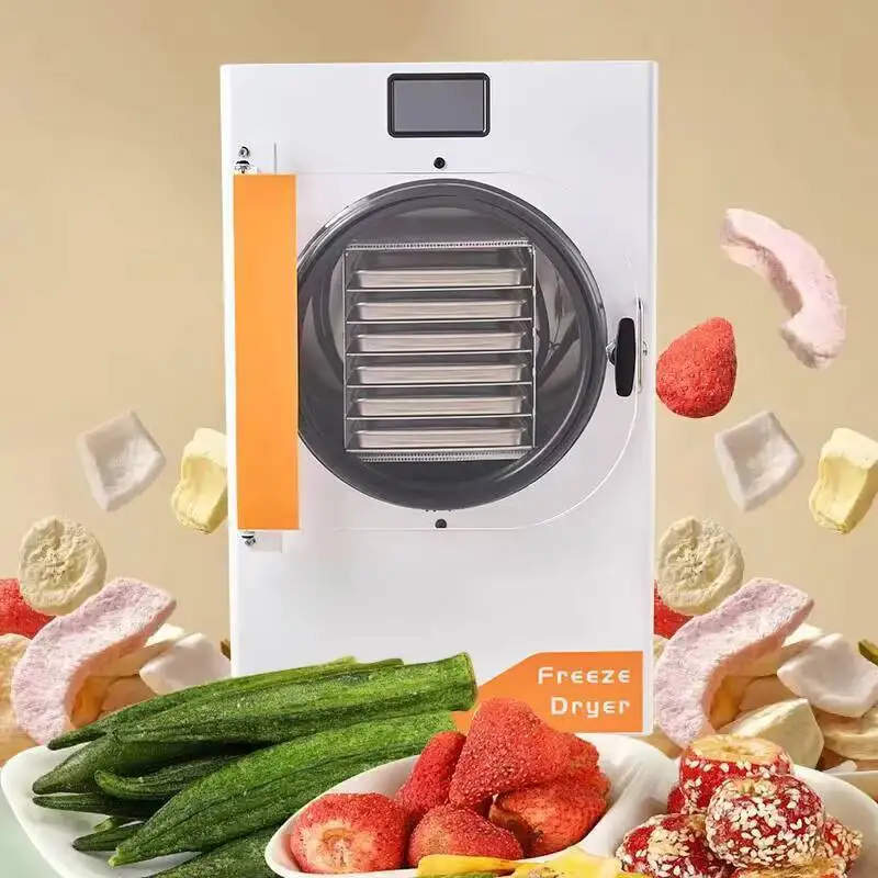 Certified & Energy Saving Food Grade Freeze Dryer 10Kg Commercial Machine For Fruits Meat Coffee