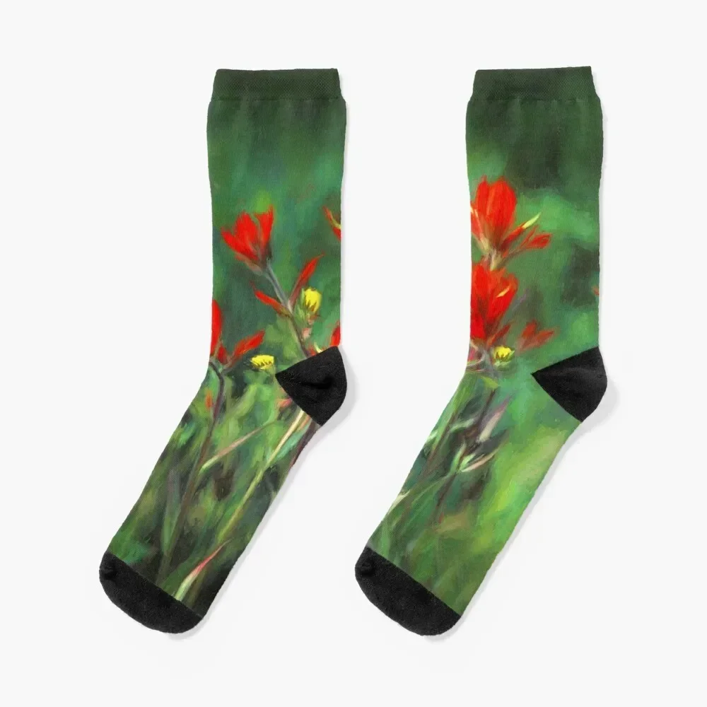 

Indian Paintbrush Socks Men's Crossfit Socks Male Women's