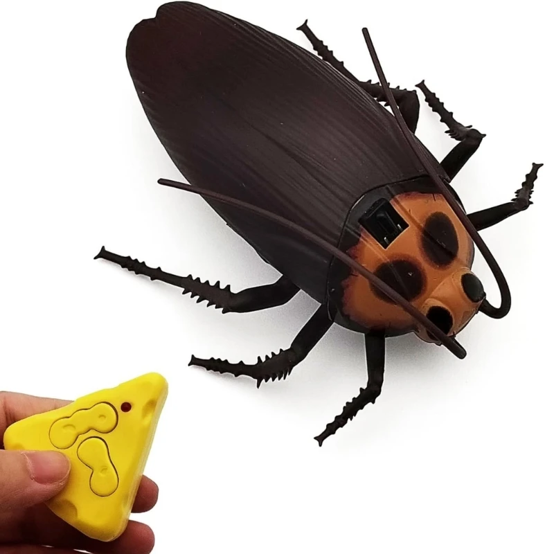 Remote Control Cockroach Toy With Movement For Interactive Indoor Playtime And Stimulation