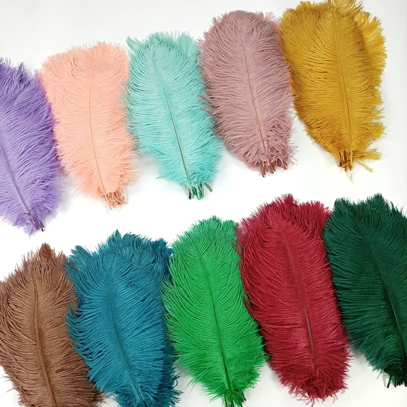 10Pcs/Lot New Colored Ostrich Feathers for Crafts Black Mint Pink Red Gold Feather Decor DIY Holiday Carnival Wedding Decoration