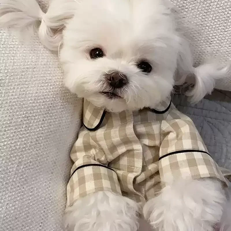 Pet Spring/Summer Dog Thin Pajamas Puppy Cat Checkered Home Clothes