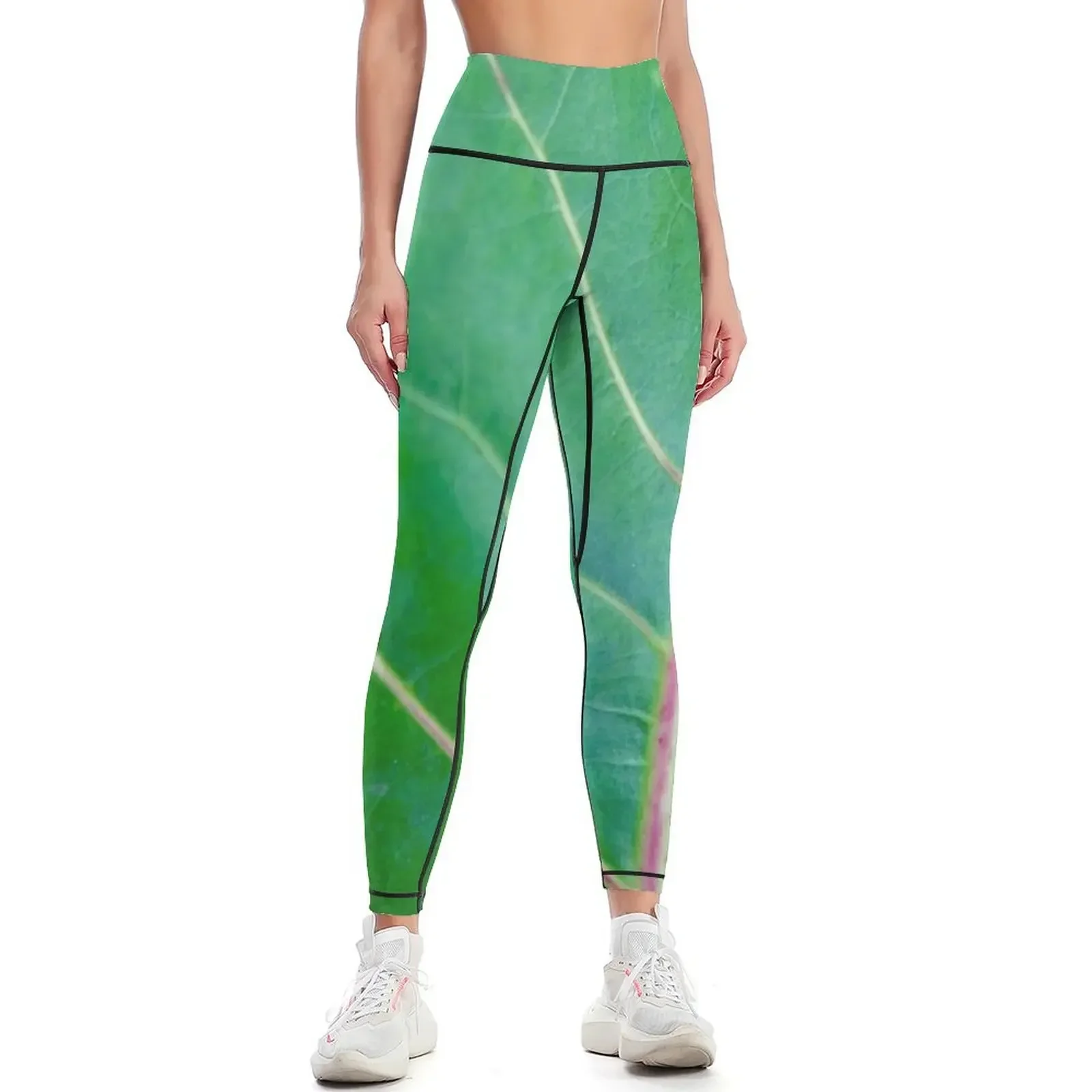 

A Leaf Leggings jogging pants Legging sexy woman push up tights for sport set Womens Leggings