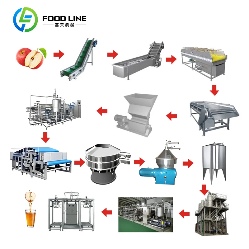 Custom Commercial Apple Juice Extractor Machine Filter Press with Sterilizer for Professional Fruit Juice Processing Equipment
