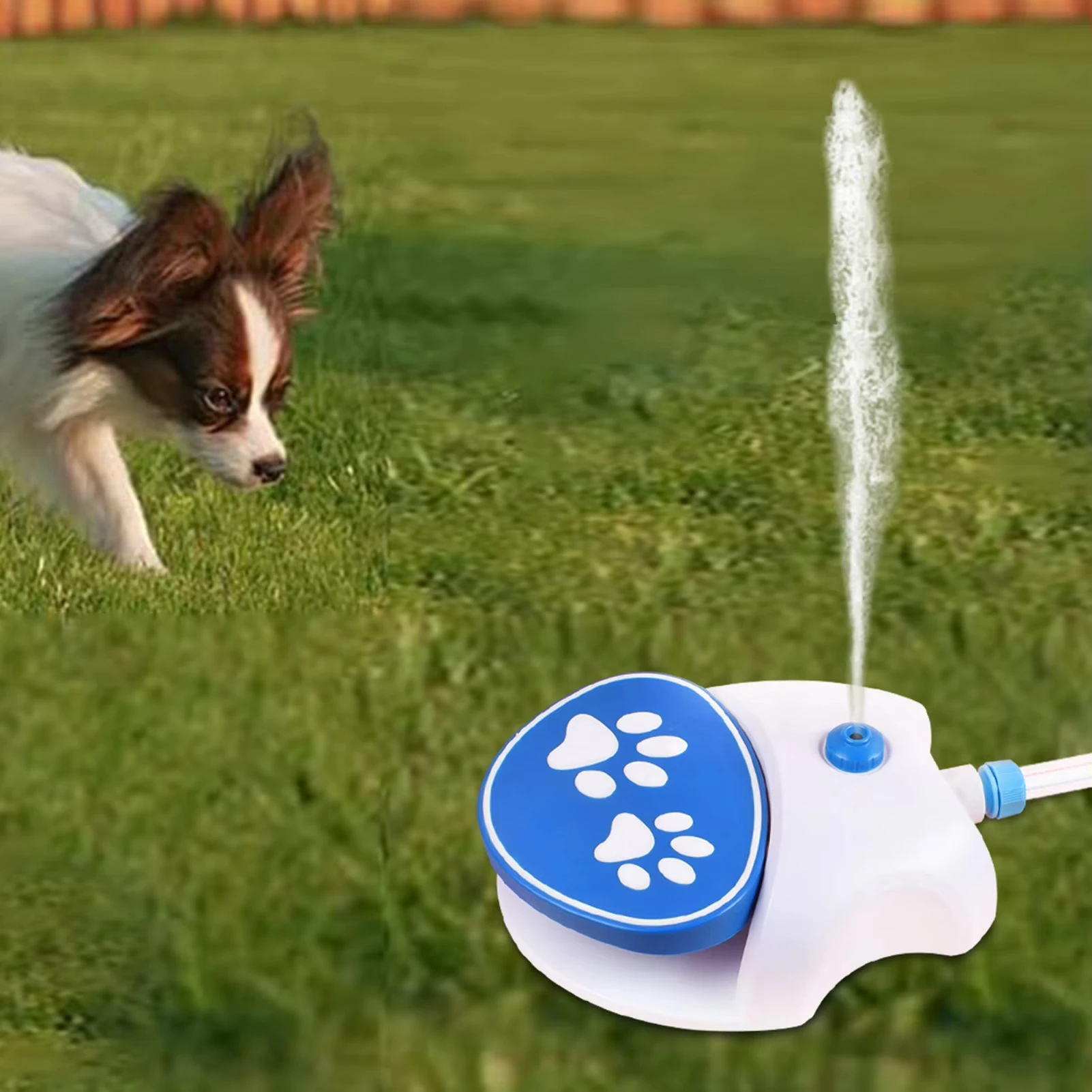 

Outdoor Dog Water Fountain Step on Paw Activated Dog Water Dispenser Dog Sprinkler Drinking Water Feeder with Hose