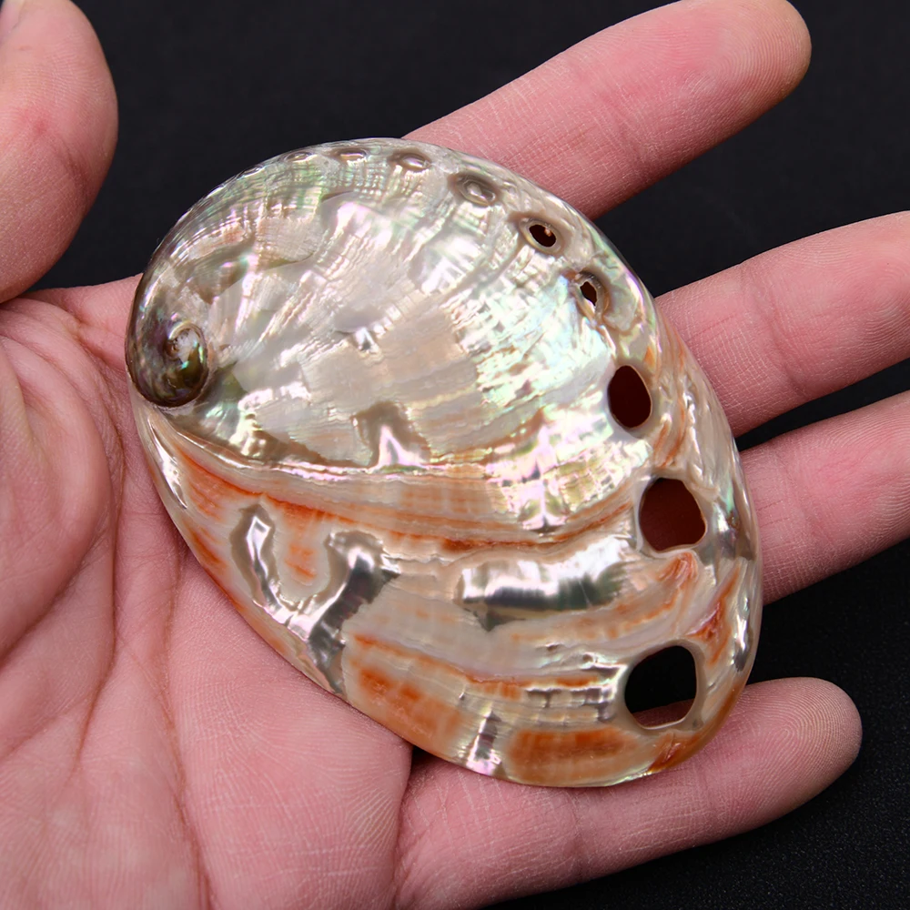 

5 Pcs Big Natural Color Abalone Shell Connector Pendant Charms Jewelry DIY