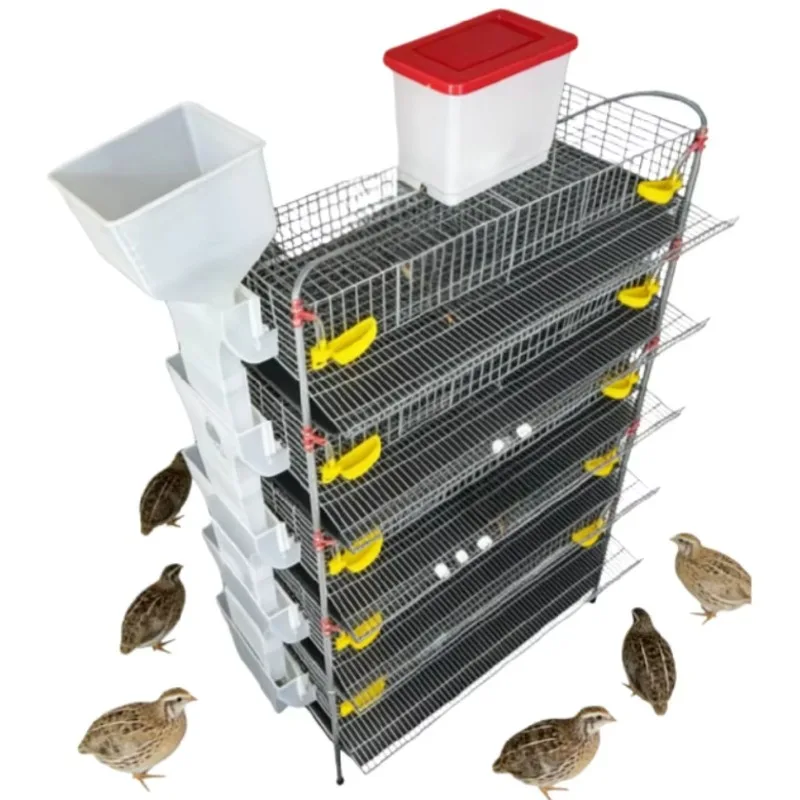Multi Tier Quail Cage Setup with Automated Climate Control and Manure Cleaning System