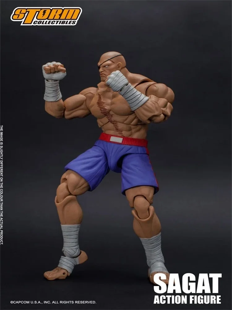 Storm Toys 1/12 SAGAT Full Set 6