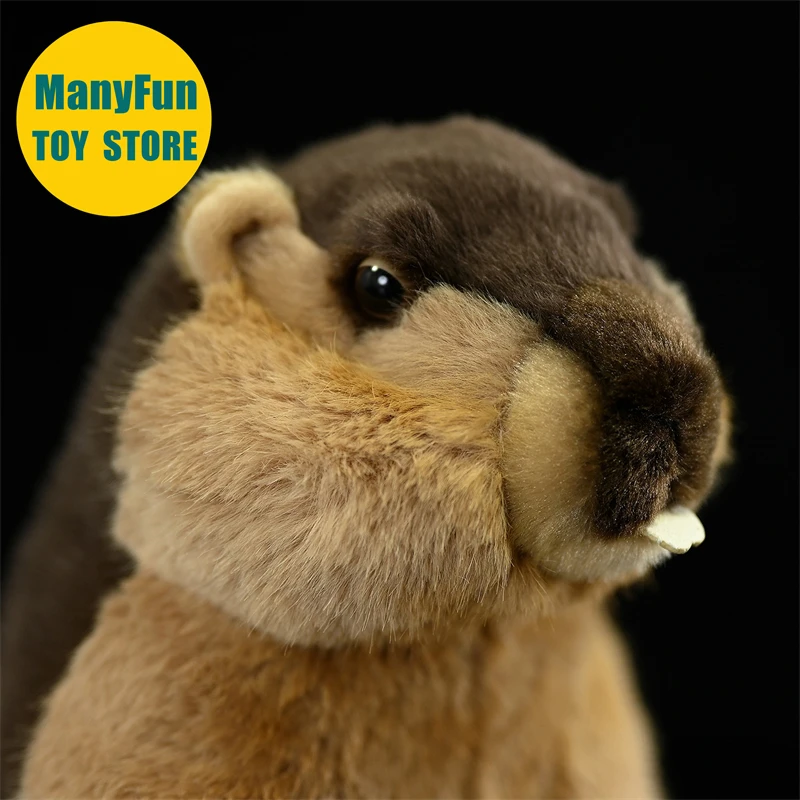 Realistic Groundhog Plush Toy High Fidelity Mountain Beaver Plushie Lifelike Marmot Stuffed Animal Simulation Doll Toy Gift