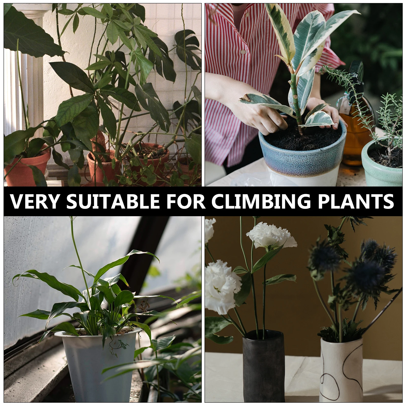 30 peças haste de suporte de plantas para vasos de plantas premium fibra de vidro suporte multifuncional leve jardinagem interna