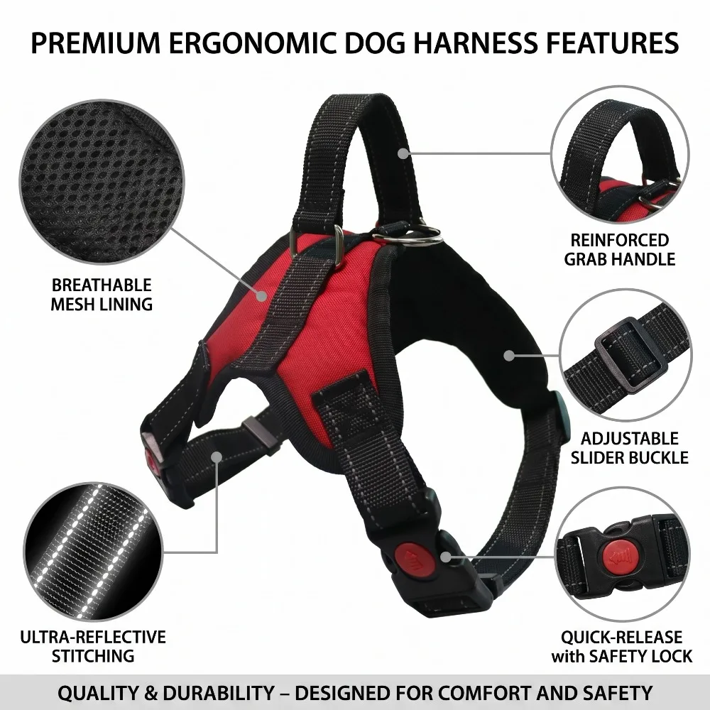 Thumbnail 3 - #78 Best Dog Harnesses to Buy In 2026