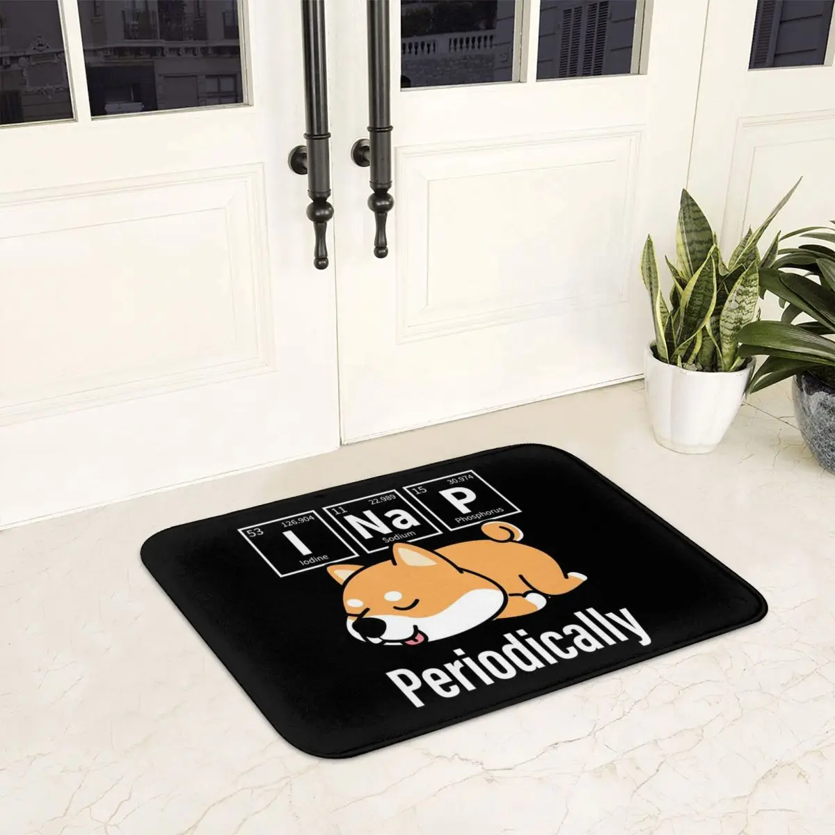 Shiba Inu Doormat Anti-skid Super Absorbent Bath Mats Home Entrance Rugs Kitchen Bedroom Carpet Outdoor Footpad