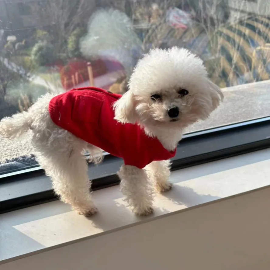 Pet Autumn/Winter Knitted Cashmere Vest Autumn/Winter Sweater Cardigan Warm Comfortable Christmas Red Coat Small Dog Sweater