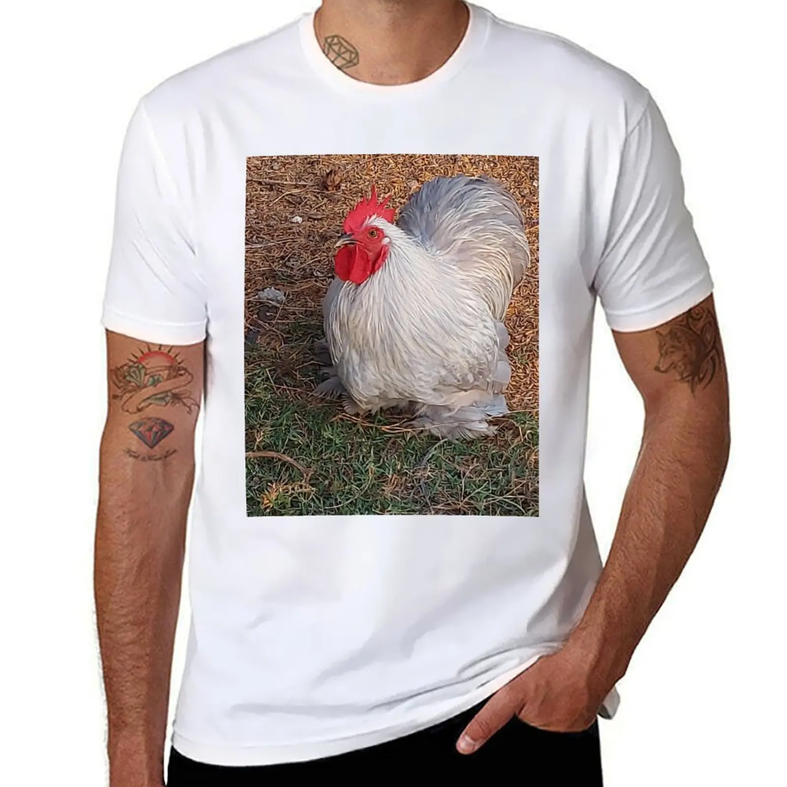 

Mini Cochin Rooster T-Shirt man t shirts cotton man t shirts graphic T-Shirt
