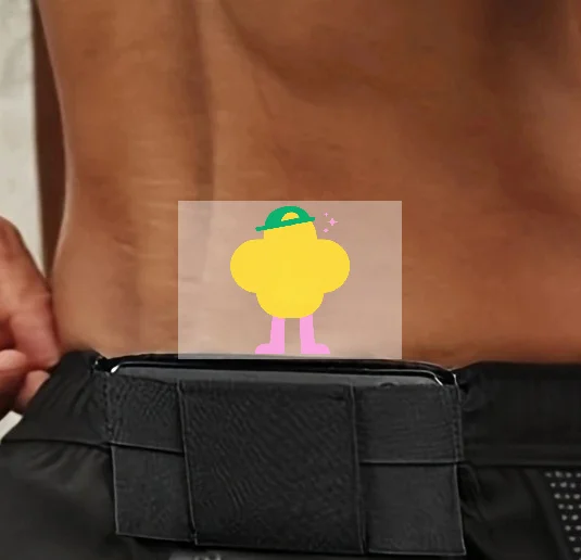 

Invisible Wallet Waist Bag Belt Pouch Portable Pouch Card Storage Bag for Men Women Passport Holder Organizers Hunting Outdoor