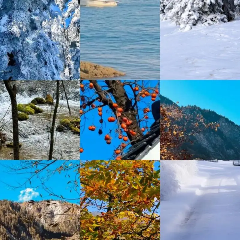 For Switch Pro Cont…