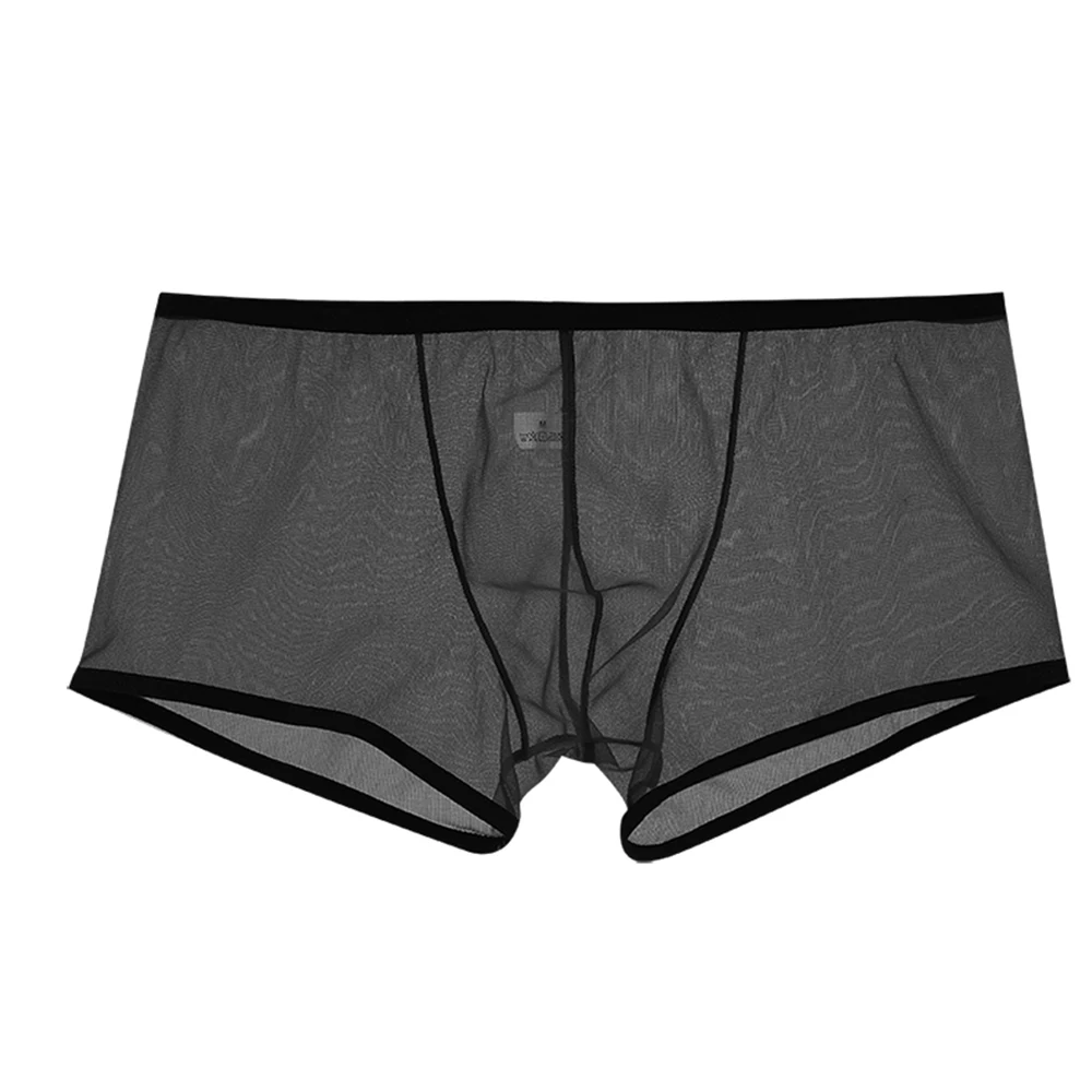 Men Fine Gay Mesh See Through Briefs Low Waist Trunks Solid Colour Panties Fully Transparent Underpants Sexy Underwear Lingerie