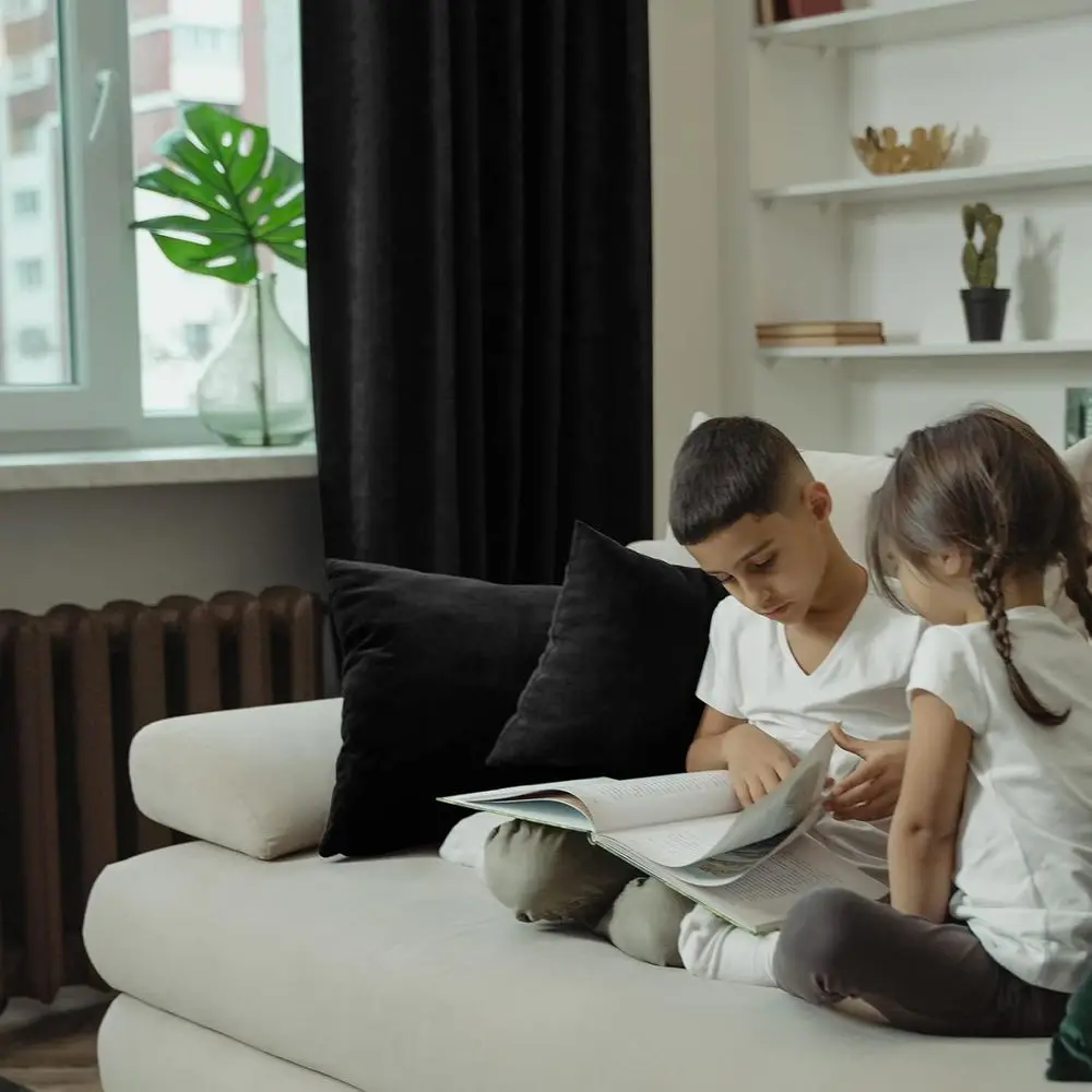 Cortinas de terciopelo negro con aislamiento térmico, 60x84, reductoras de ruido, paneles de lujo para sala de estar y dormitorio