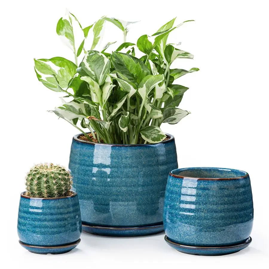 

Plant Pots with Drainage Holes and Saucers, Indoor Flower Pots for Plants Set of 3, 3.44.76.1 inch Cute Garden Pots Set for Succ