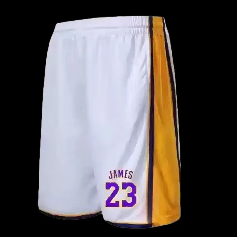 2026 Neue Modische Sommer-Sport-Basketball-Shorts Trainings-Mehrfarben-Shorts Atmungsaktive Sportshorts für Erwachsene Streetwear – Detail 12