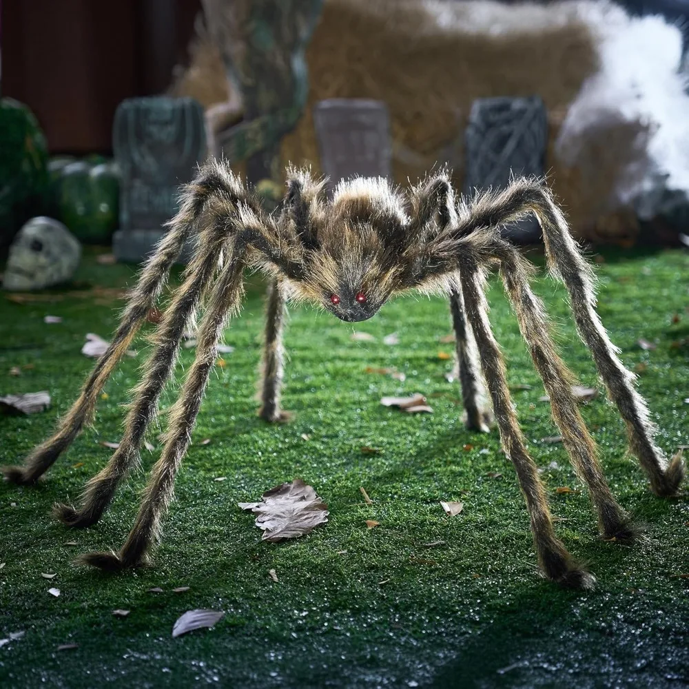 Scary Large Spider