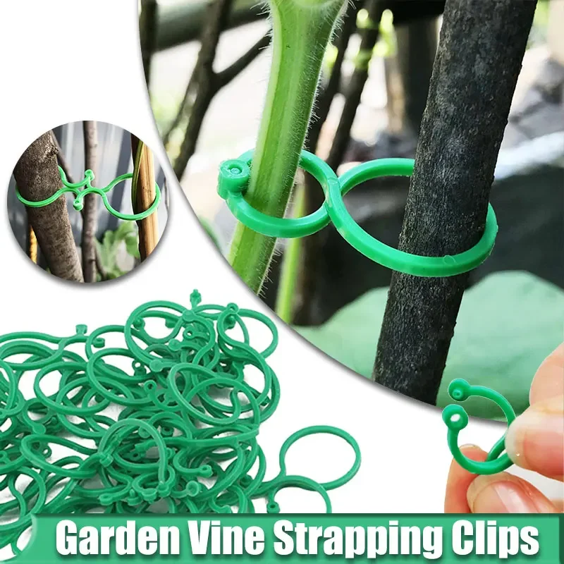 50PCS Garden Vine Strapping Clips Plant Bundled Buckle Ring Holder Tomato Plant Stand Support Tool Garden Tomato Grapevine Ties