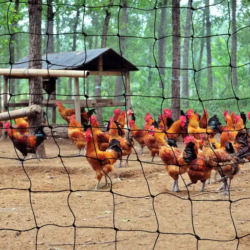 Bird Netting Heavy Duty Anti Bird Protective Net Polyethylene AntiBird Net Mesh Poultry Net Breeding Net For Garden Supplies