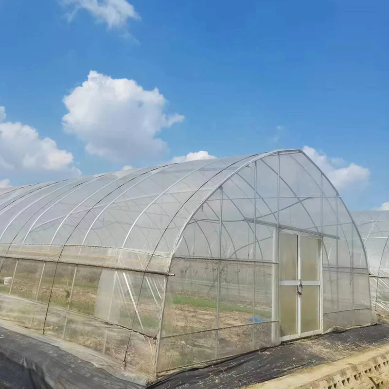 2025 أنبوب مجلفن ذو إطار واحد من فيلم الفراولة المقوسة والخضروات البلاستيكية