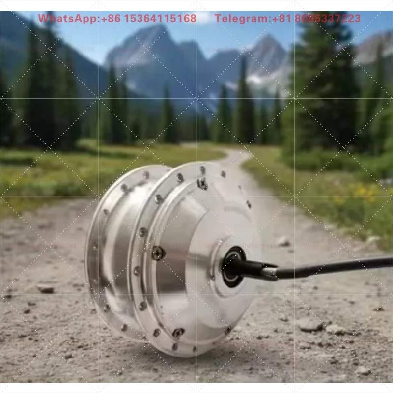 Hot Sale EMCRohs/CE EN15194 Approval 24v/36v/48v 350w Brushless Front Drive Geared High Speed Spoke Motor 35N.m Torque 3.1kg for