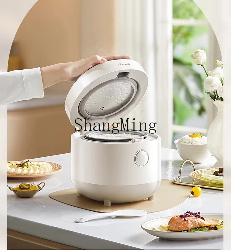 ZYY mini cuociriso piccolo da 1 a 2 persone piccolo cuociriso in acciaio inossidabile 316L