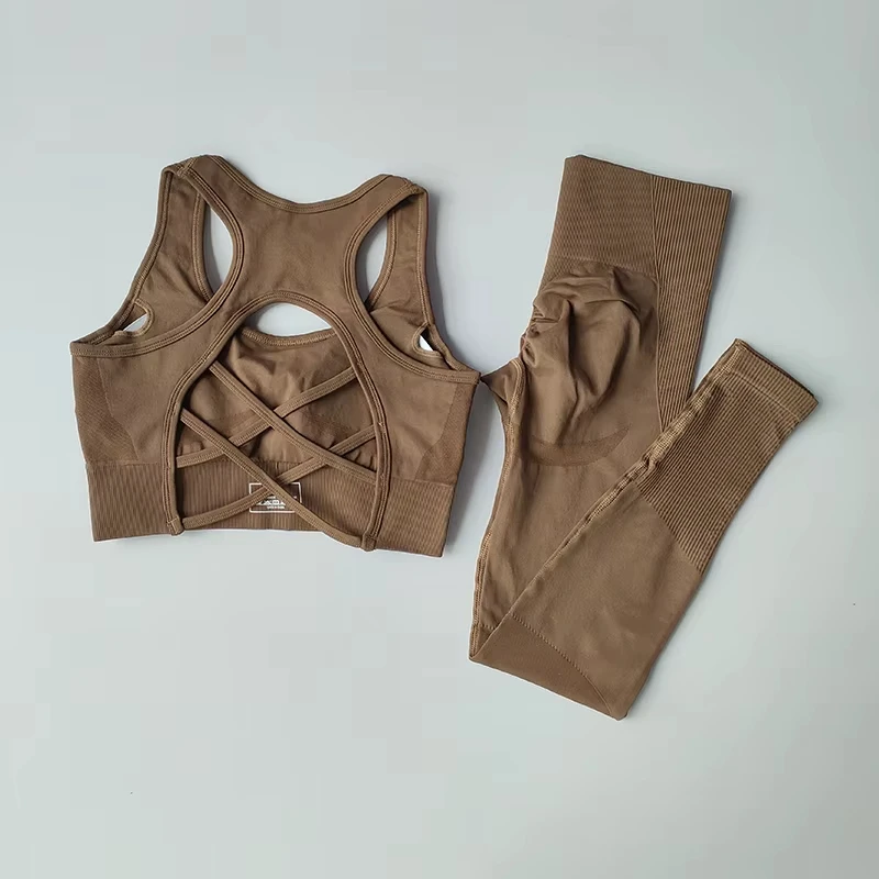 Conjunto de Sujetador deportivo para mujer, camiseta sin mangas profesional para Fitness, mallas para correr a prueba de golpes, traje de Yoga, ropa con sujetador trasero bonito, 2 uds.