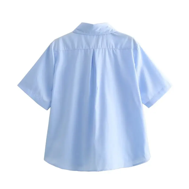 

Весна 2024, модный женский универсальный шифоновый топ с воротником ort Sve, прямой крой, стандартной длины, цвет