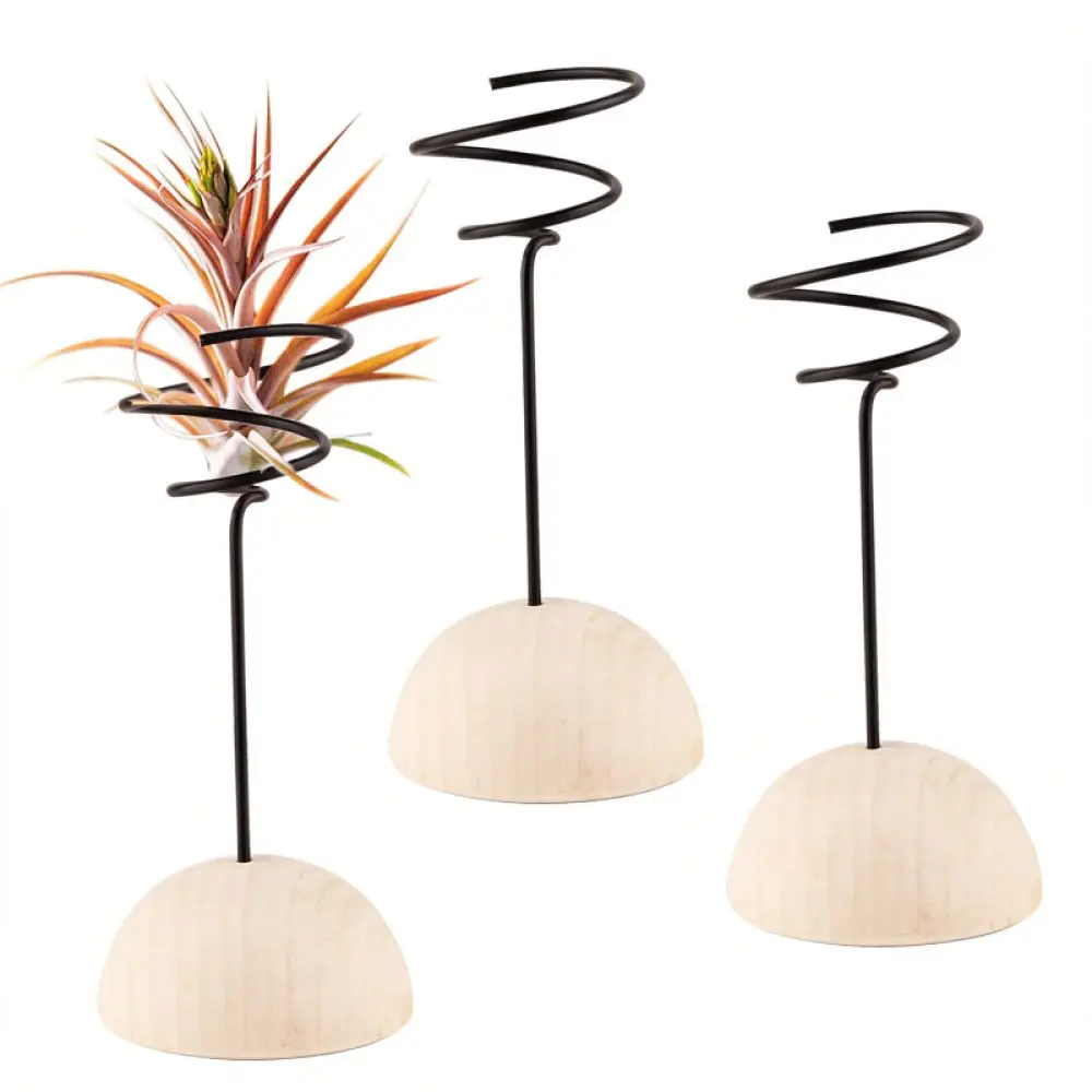 Natural Wood Stand For Air Plants Hemisphere Display Holder For Succulents Office Desk Indoor Gardening Decoration