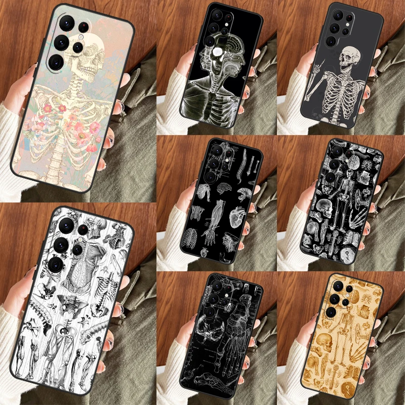 Medical Skeleton Anatomy Case For Samsung Galaxy S23 Ultra S22 Plus S21 Ultra S20 FE S9 S10 Note 10 20 Ultra Cover