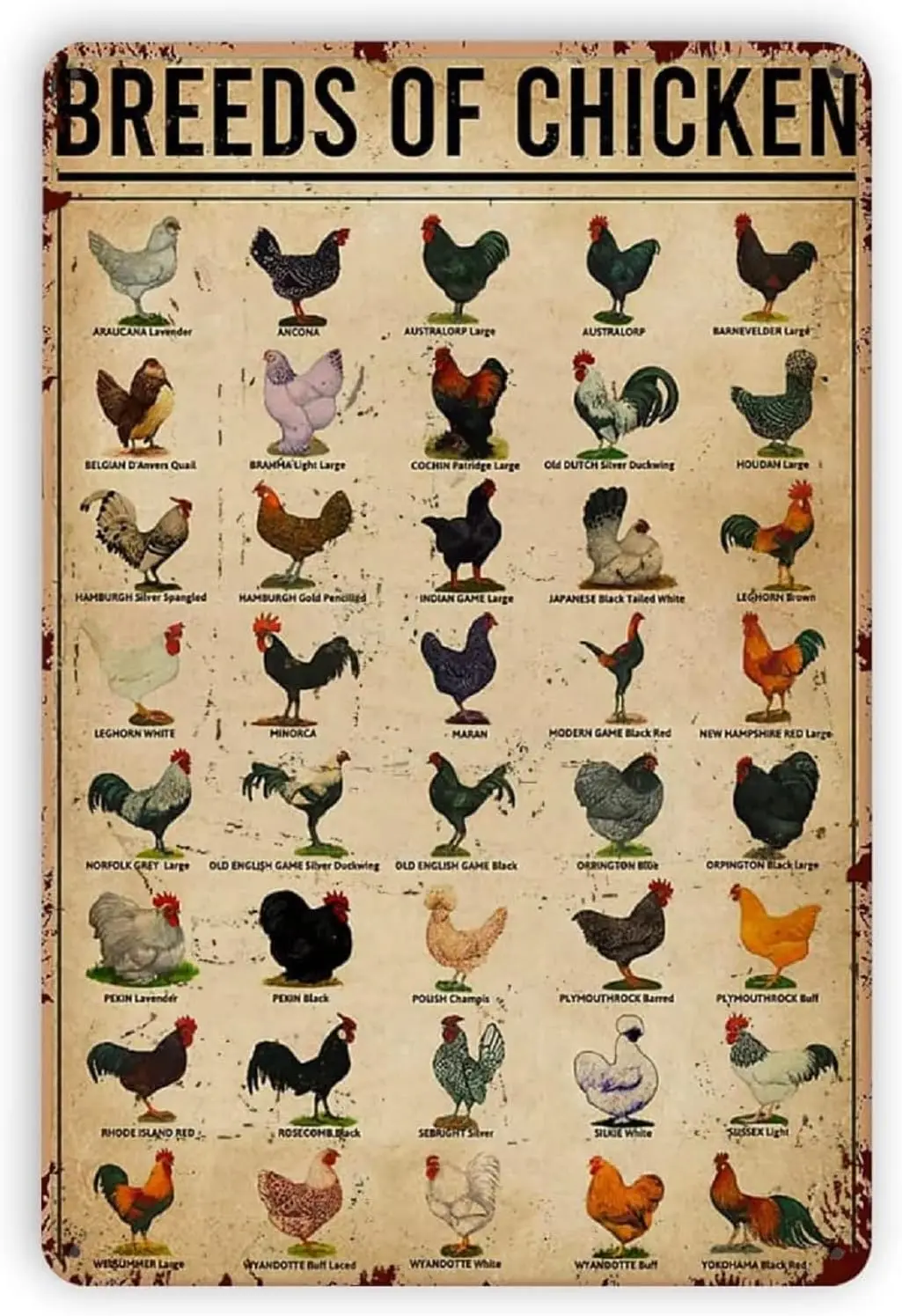 Plaques en métal représentant les différentes races de poulets, enseigne vintage en métal, affiche rétro chic, décoration d'intérieur sur le thème des animaux, enseigne en aluminium, enseigne.