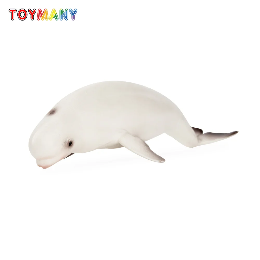 Toymany Simulation Beluga Whale Ocean Animal Model Toy Mini Figures Dolls Action Figurines Toys Children Gift Cake Decoration