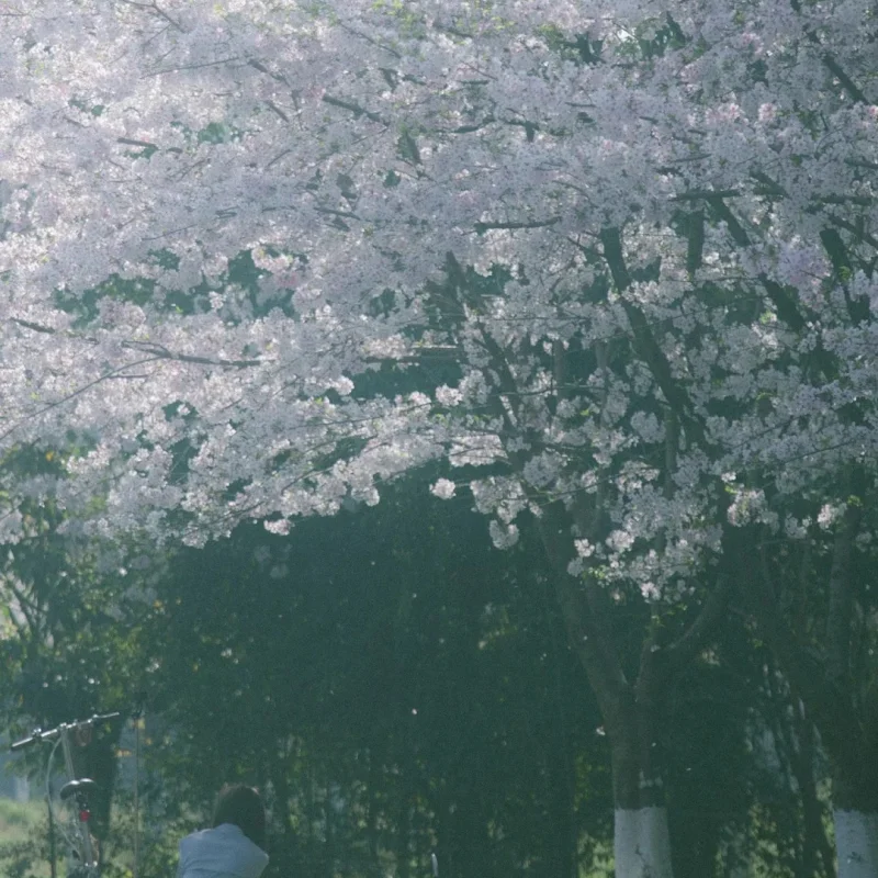 4 stuks 90mm Monster Truck Buggy Banden Wiel 12mm Hex voor MJX 10208 1/10 RC Auto upgrade Onderdelen Accessoires