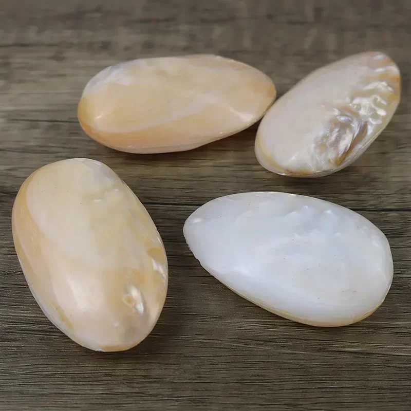 Polished Pearl Oyster Freshwater Shell Natural Conch