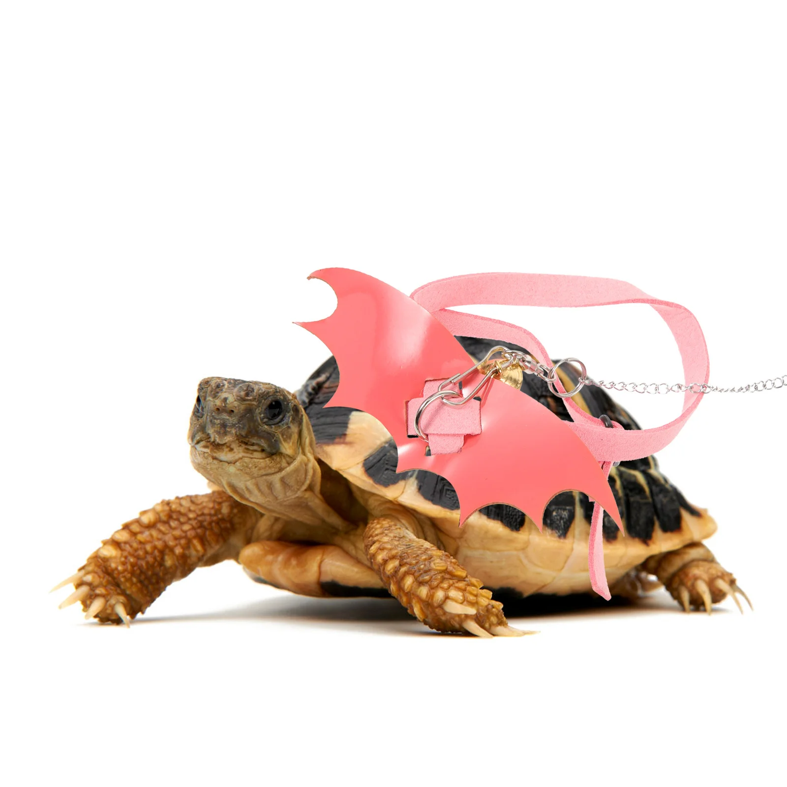 

Turtle Leash Adjustable Turtles Anti-escaping for Tortoises Stainless Steel Chain Harness and Outdoor