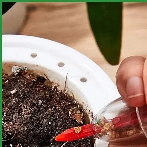 ハンドヘルドシードディスペンサー、庭の植栽用ミニ手動播種ツール、植木鉢&庭のベッドの必須園芸用品