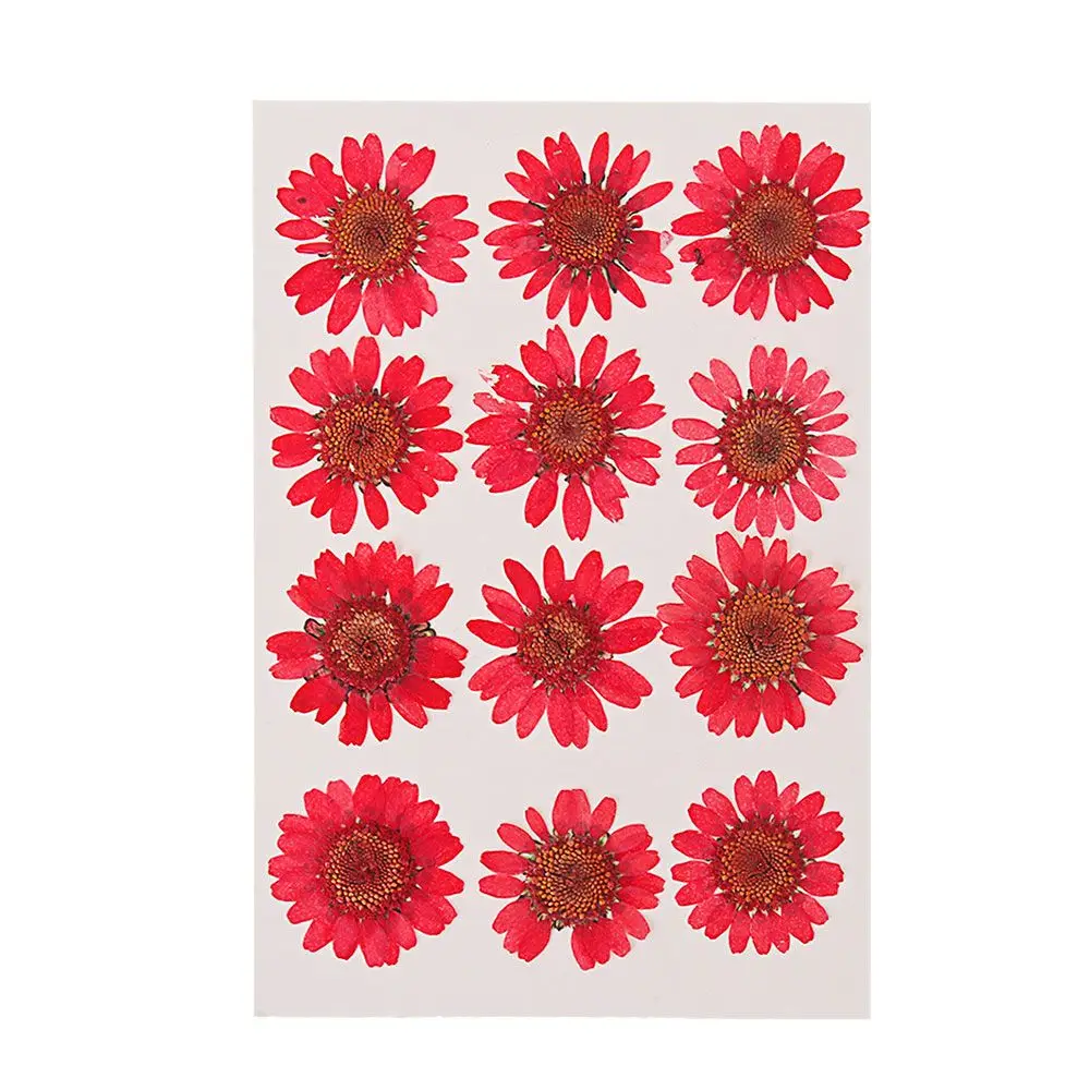 12PCS/Bag Colorful DIY Resin Jewelry Making Daisy Dried Flower Pressed Art